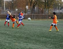 Spielszenen der F-Jugend am 12.11.2017 (8/20)